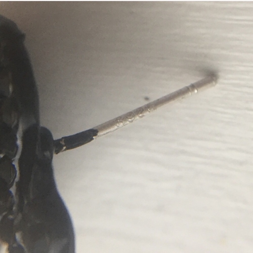 ⚜️[𝟯/$𝟯𝟴]⚜️Black Crystal 925 Post Earrings NEW - Picture 4 of 7